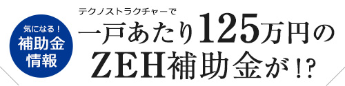 テクノストラクチャーで一戸あたり125万円のZEH補助金が!?